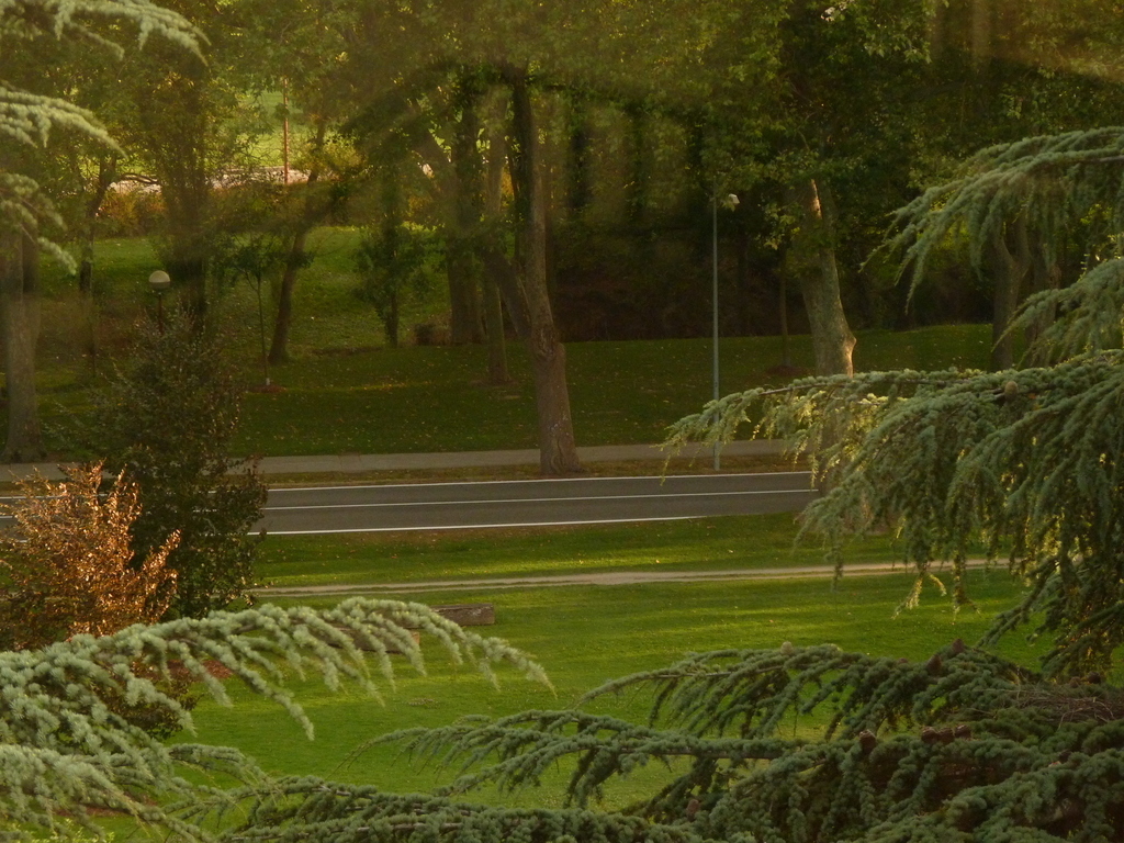 No s'ha trobat l'arxiu